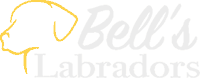Bell's Labradors Logo