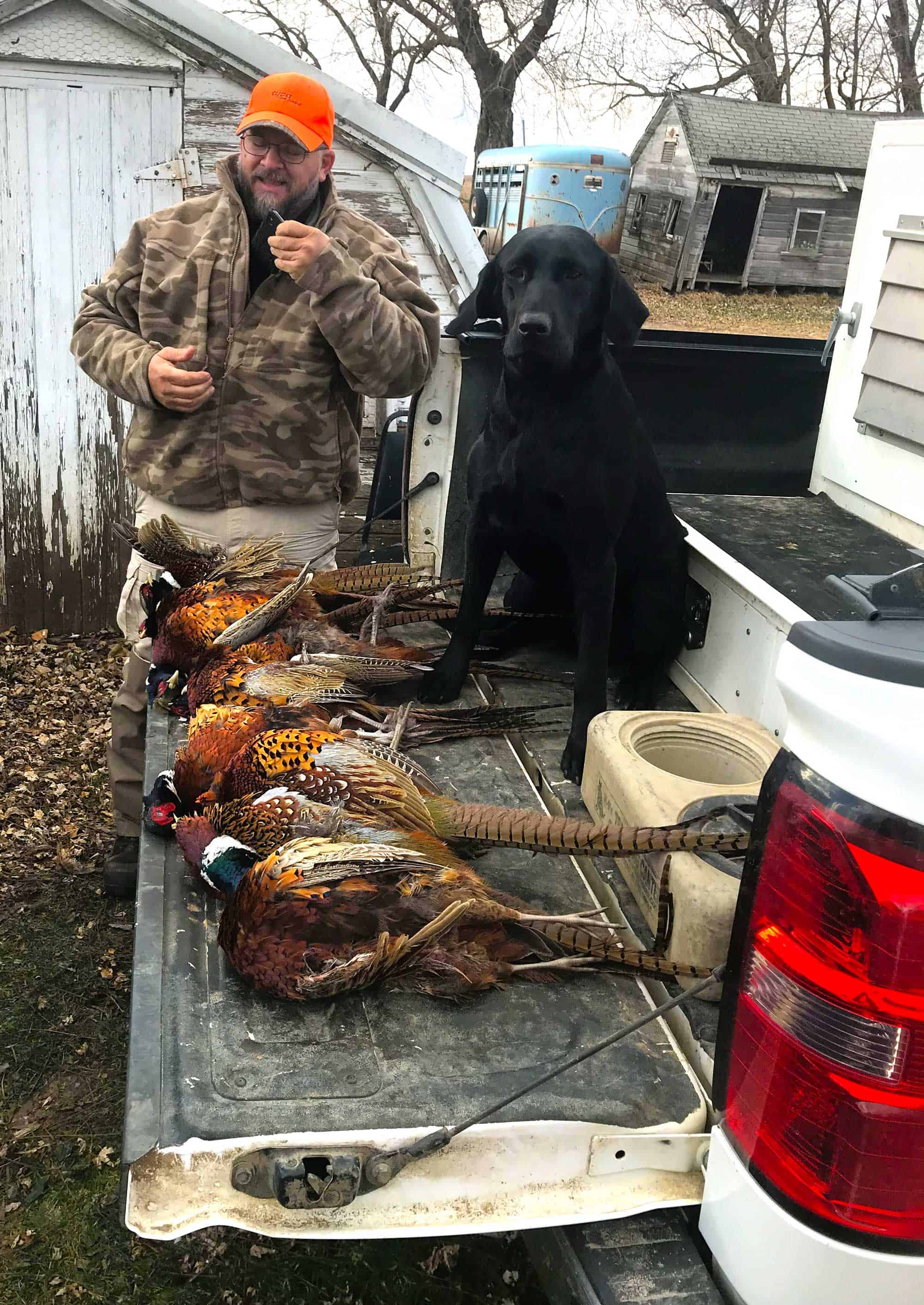 Jane Black Labrador