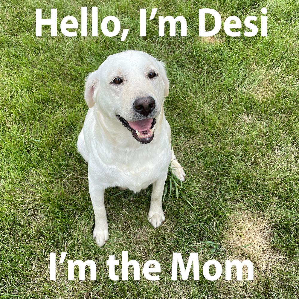 DESI
